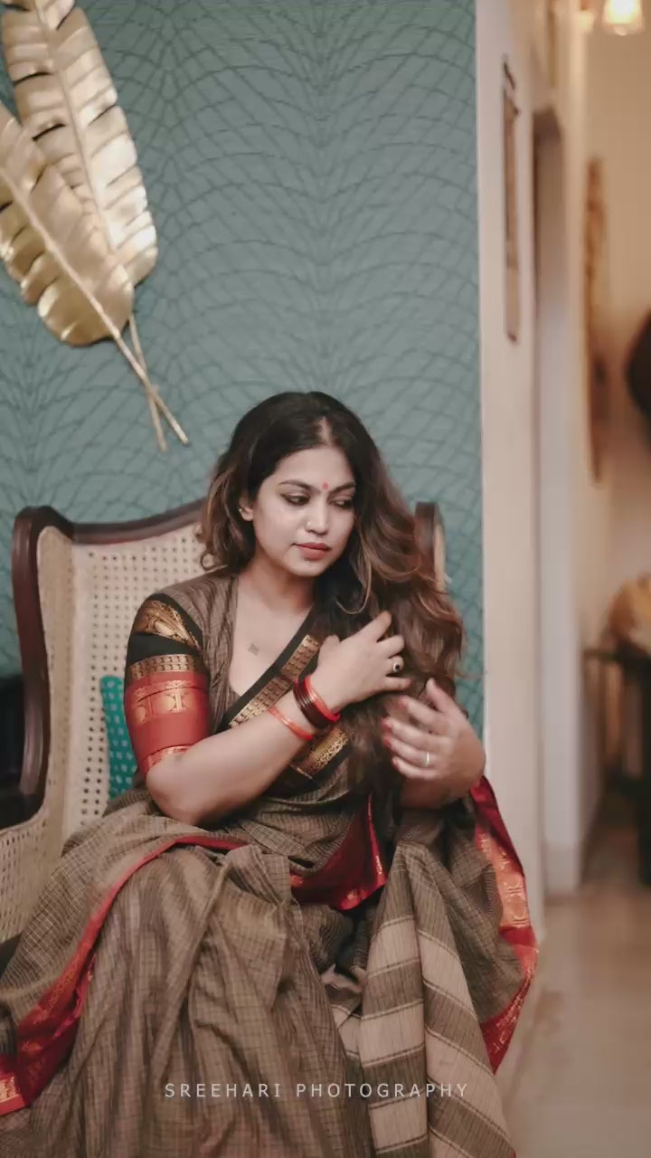Ganga Jamuna border Jari Checks Chettinad cotton Saree